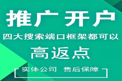 行业领先企业的sem账户竞价运营策略